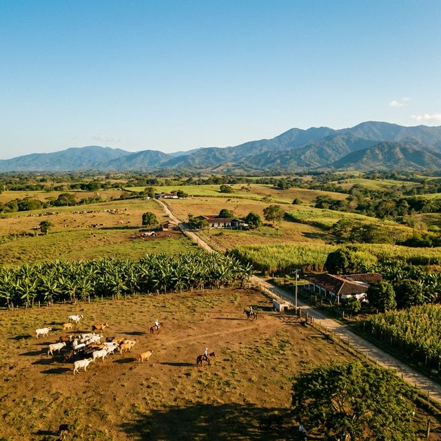San Pedro de Uraba
