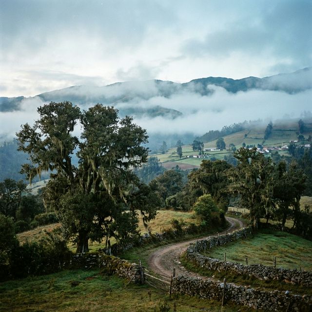 Saboyá