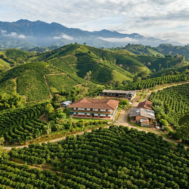 Chinchiná
